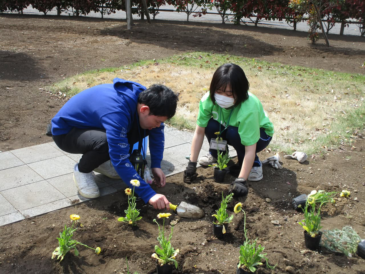 田園調布学園大学との苗植え&畑づくりイベントの様子1