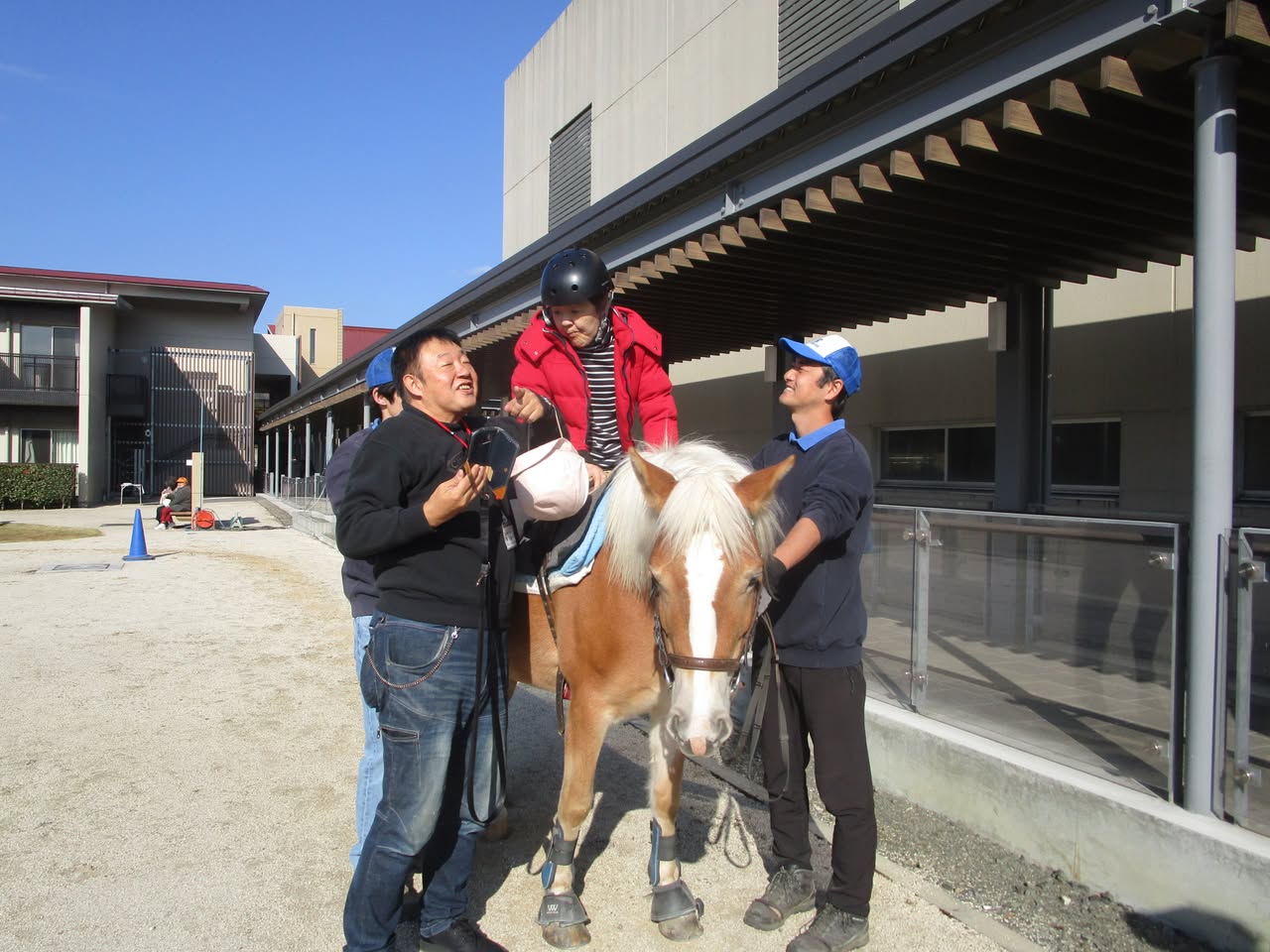 相模原麻溝公園ふれあい動物広場のポニーが来園 1