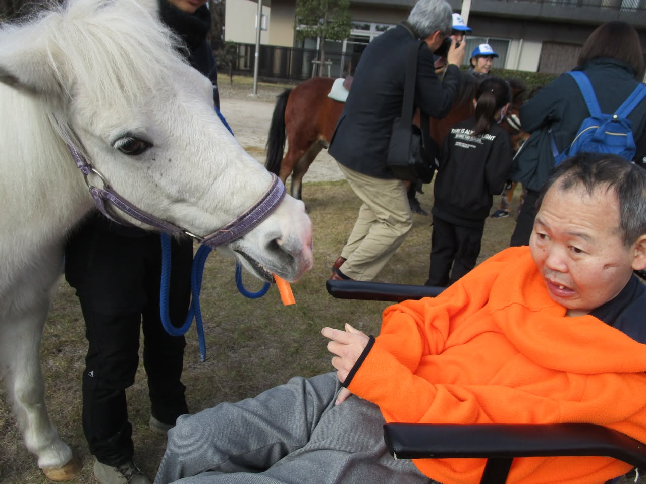 相模原麻溝公園ふれあい動物広場のポニーが来園 2